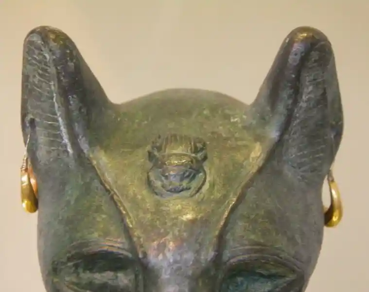 Scarab on the head of the Gayer-Anderson Cat